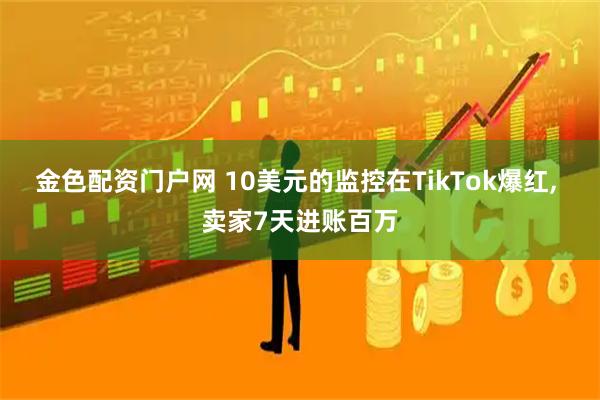 金色配资门户网 10美元的监控在TikTok爆红, 卖家7天进账百万